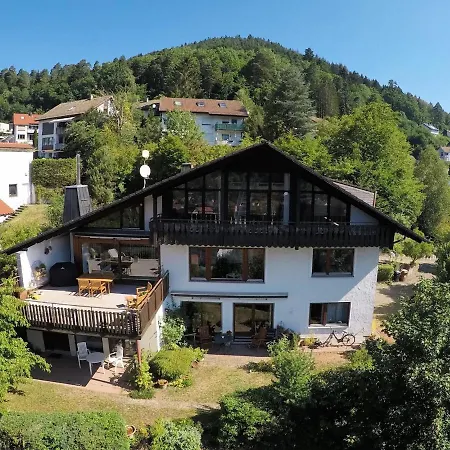 Haus Hoehneck 1 Alpirsbach Buitenkant foto